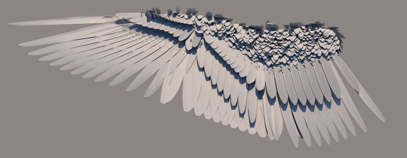 Procedural bird wings render